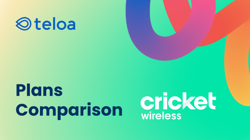 Best Cricket Plans